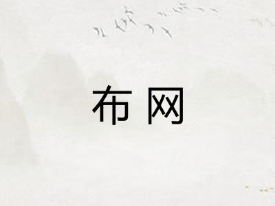 布网