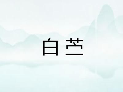 白苎