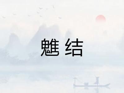 魋结