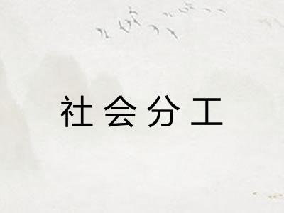 社会分工 社会分工