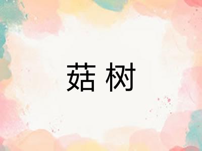 菇树