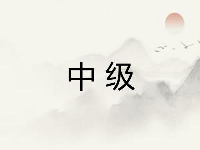 中级 中级
