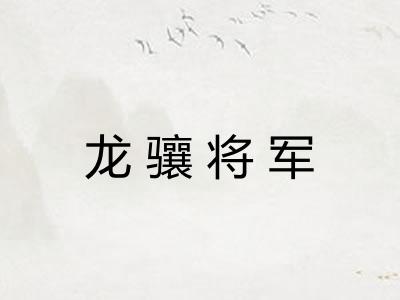 龙骧将军