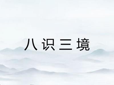 八识三境