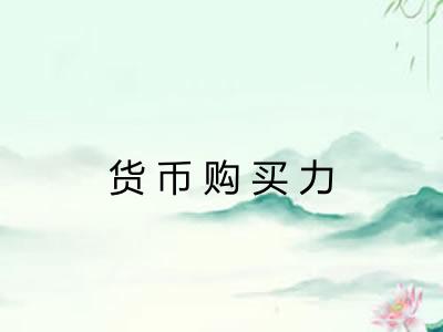 货币购买力 货币购买力