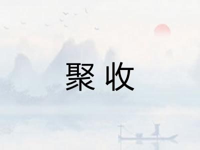 聚收 聚收