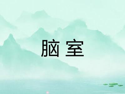 脑室 脑室