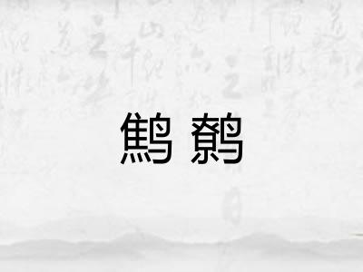 鹪鹩 鹪鹩