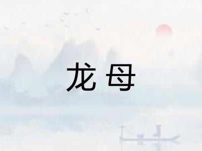 龙母 龙母