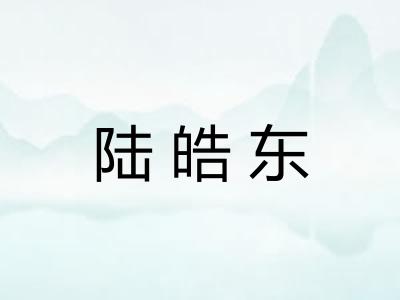 陆皓东