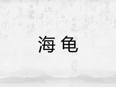 海龟 海龟