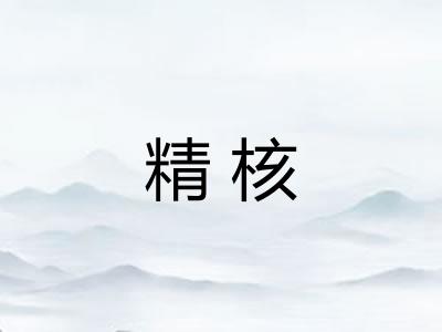 精核 精核