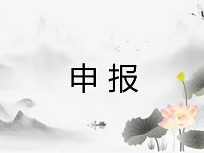 申报 申报