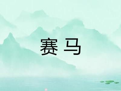 赛马 赛马