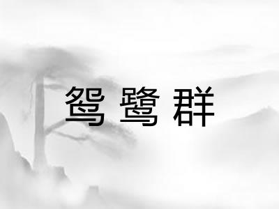 鸳鹭群 鸳鹭群