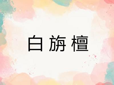 白旃檀 白旃檀