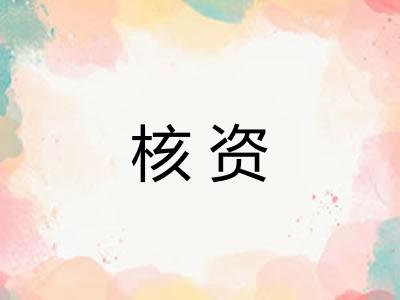 核资 核资