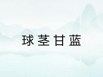 球茎甘蓝