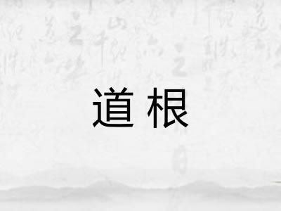 道根