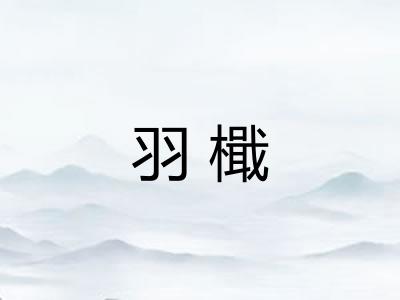 羽檝