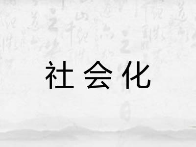 社会化 社会化