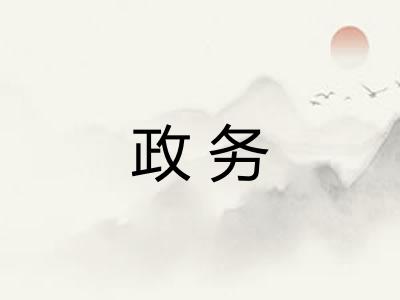 政务 政务