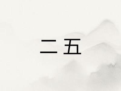 二五