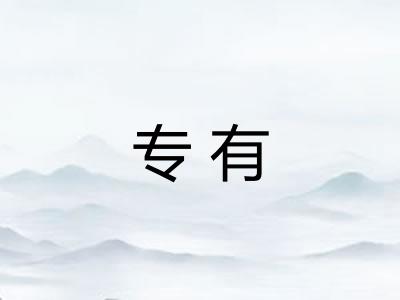 专有 专有