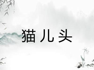 猫儿头 猫儿头
