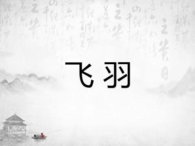 飞羽