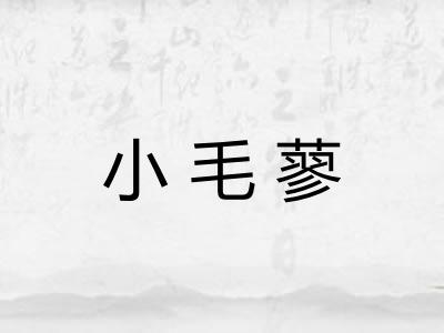 小毛蓼 小毛蓼