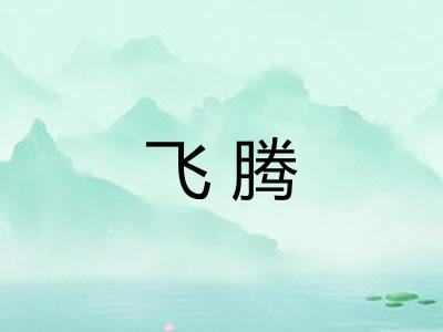 飞腾 飞腾