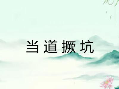 当道撅坑 当道撅坑