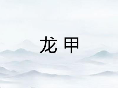 龙甲 龙甲