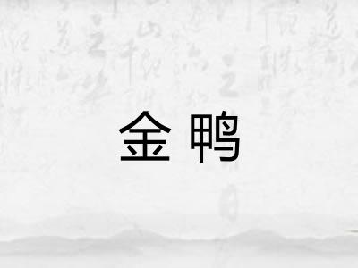 金鸭 金鸭