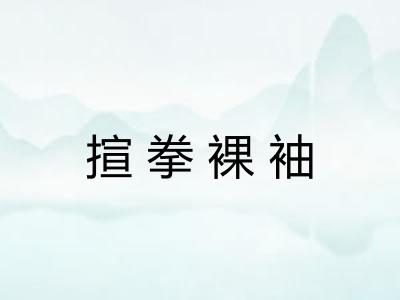 揎拳裸袖 揎拳裸袖