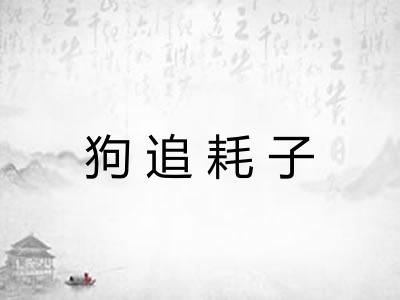 狗追耗子 狗追耗子