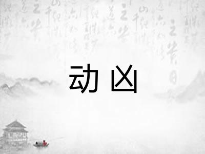 动凶 动凶