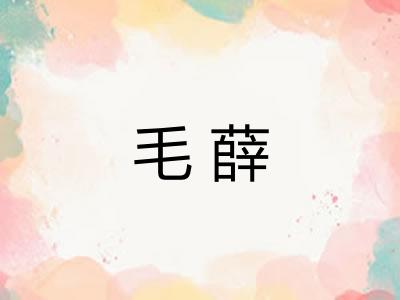 毛薛 毛薛