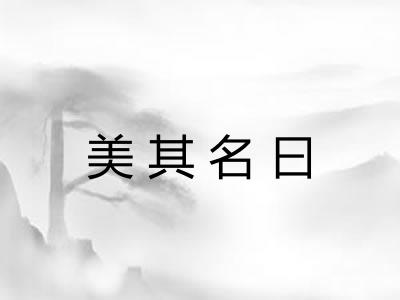 美其名曰 美其名曰