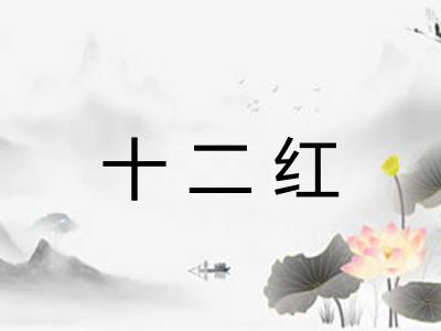 十二红