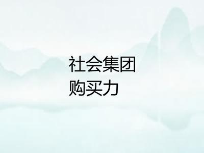 社会集团购买力 社会集团购买力