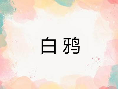 白鸦 白鸦