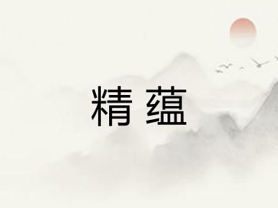 精蕴