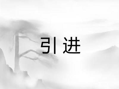 引进 引进