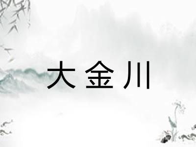 大金川 大金川