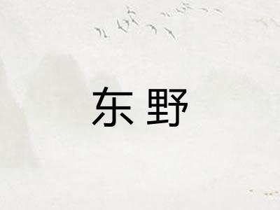 东野 东野