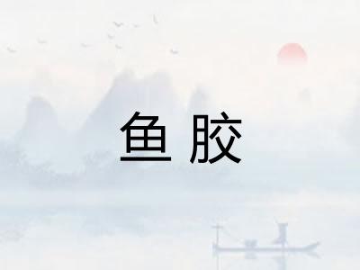 鱼胶
