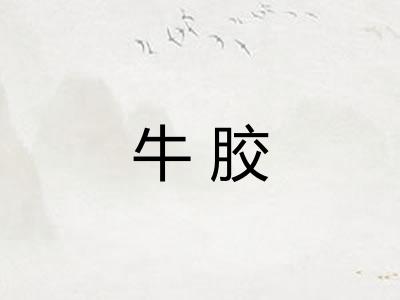 牛胶 牛胶