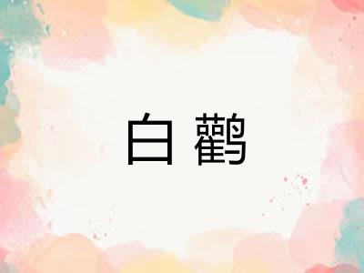 白鹳 白鹳